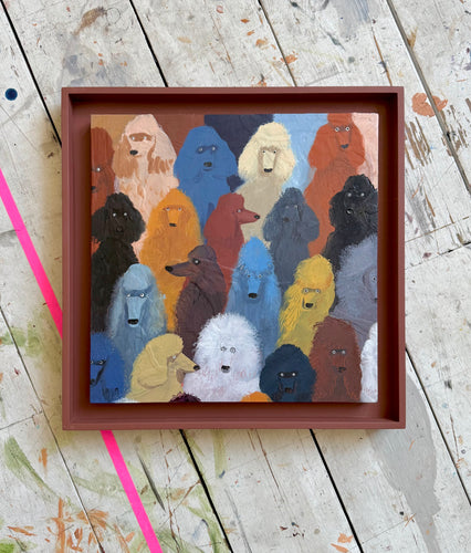 Poodle Crowd