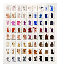 Load image into Gallery viewer, Dog Rainbow No.3 - NEW SMALL SIZE!