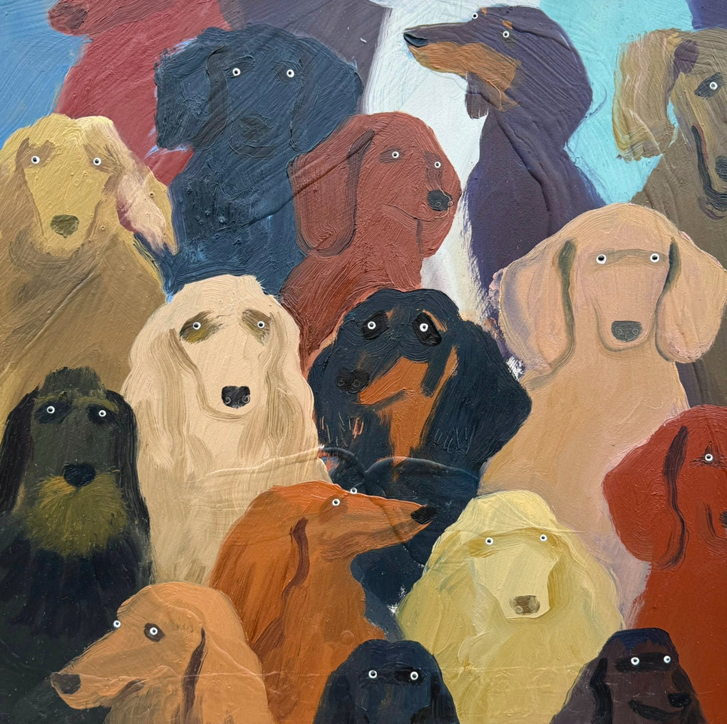 Dachshund Crowd