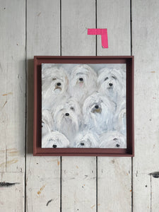 Old English Sheepdog Crowd