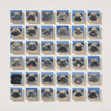 Load image into Gallery viewer, 36 PUGS * new print *