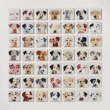 Load image into Gallery viewer, 49 Dalmatians