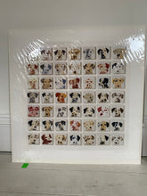 Load image into Gallery viewer, 49 Dalmatians